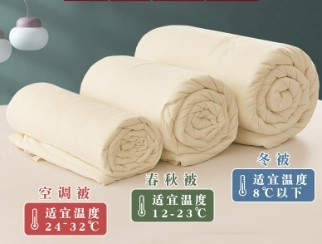 全棉婴儿级大豆纤维被子夏被凉被四季大豆被芯双人冬被春秋被